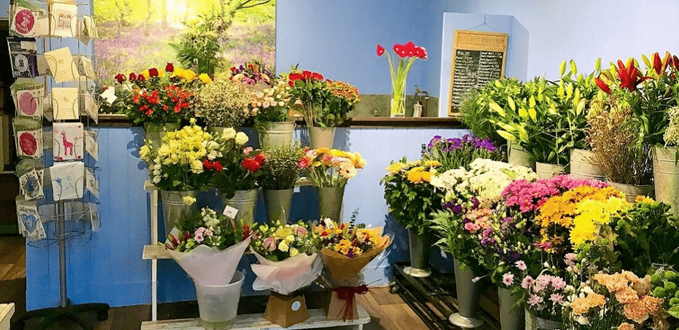 Quảng cáo cửa hàng hoa tươi của bạn đến với mọi người